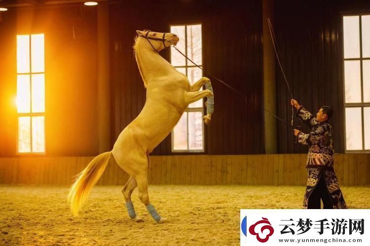 日本人馬畜禽公司澎湃號
