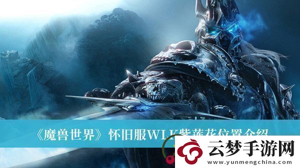 魔獸世界懷舊服WLK紫蓮花位置在哪