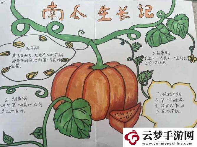 南瓜的奇妙旅程
