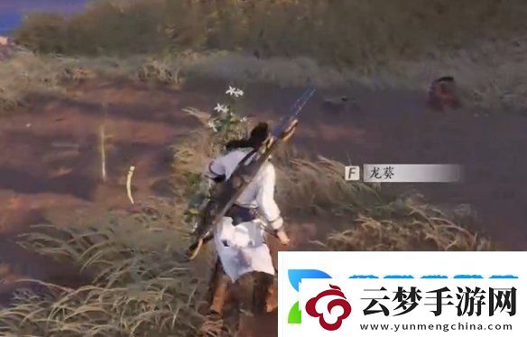 燕云十六聲杏花不見(jiàn)怎么獲得