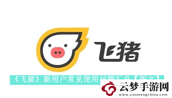 飛豬新用戶常見(jiàn)使用問(wèn)題有哪些