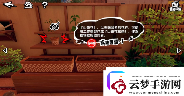女神異聞錄夜幕魅影有哪些小游戲