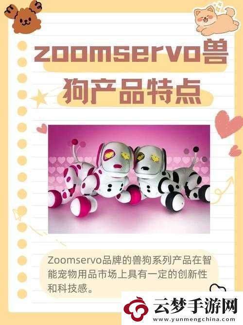 ZoomServo