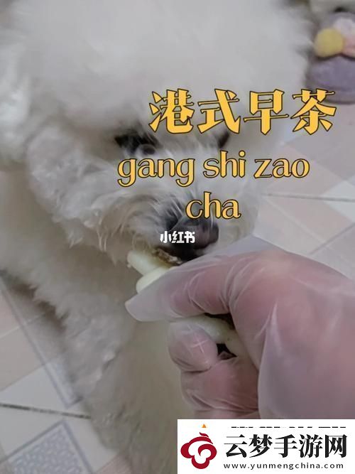 美國(guó)人與動(dòng)物膠配方大全圖片友