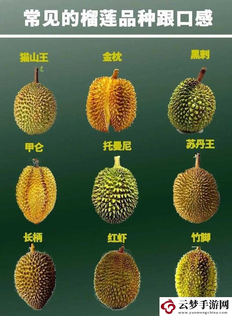 草莓香蕉榴蓮與絲瓜的奇妙組合及獨(dú)特風(fēng)味