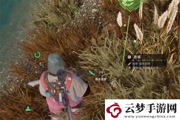 星球重啟變質的美味任務完成方法