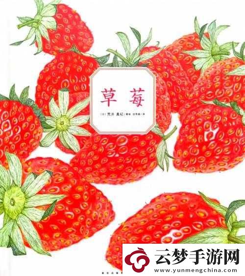 草莓視頻草莓視頻草莓
