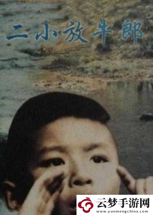 B站