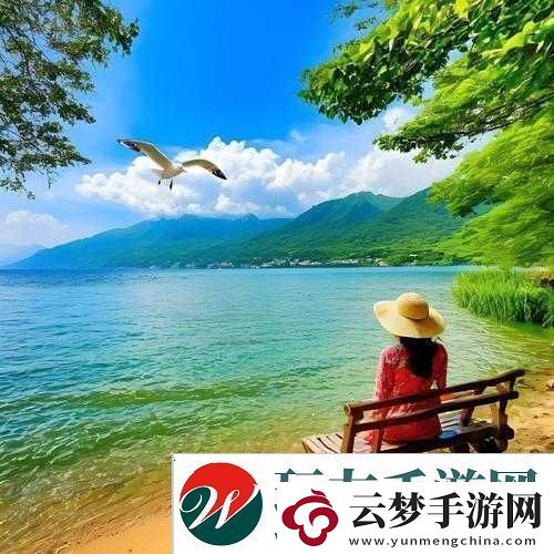 張?bào)阈廊宋乃囆g(shù)欣賞與分享