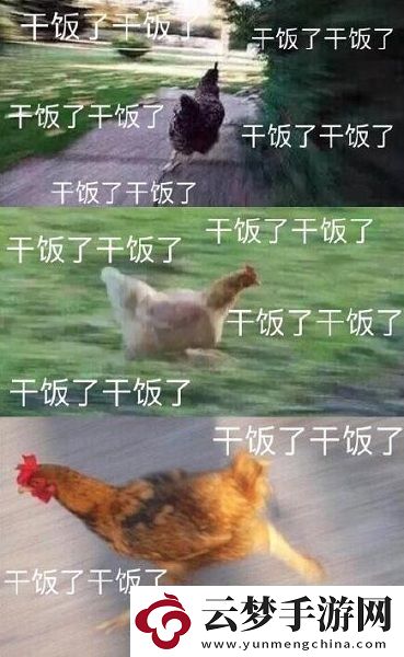 干飯人干飯魂梗意思、含義、出處介紹