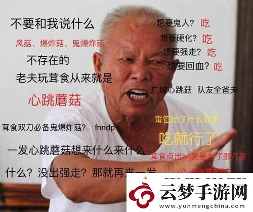 mhw蘑菇對應(yīng)效果