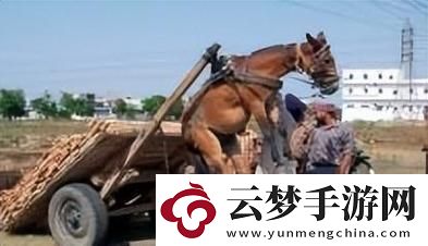 后人馬畜禽company