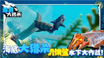 鹽和避難所意志力和精力提升技巧