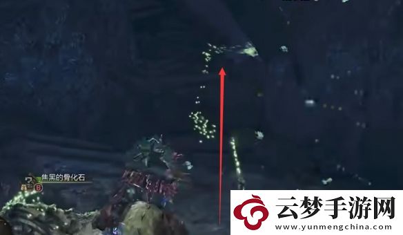怪物獵人荒野大虛無動(dòng)在哪抓