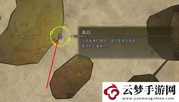 怪物獵人荒野薩明的研究報(bào)告怎么做