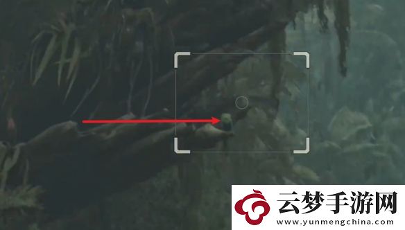 怪物獵人荒野薩明的研究報(bào)告怎么做