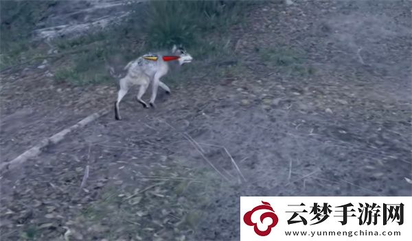 天國拯救2農(nóng)民**支線任務(wù)攻略分享