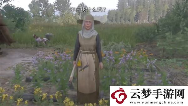 天國拯救2農(nóng)民**支線任務(wù)攻略分享