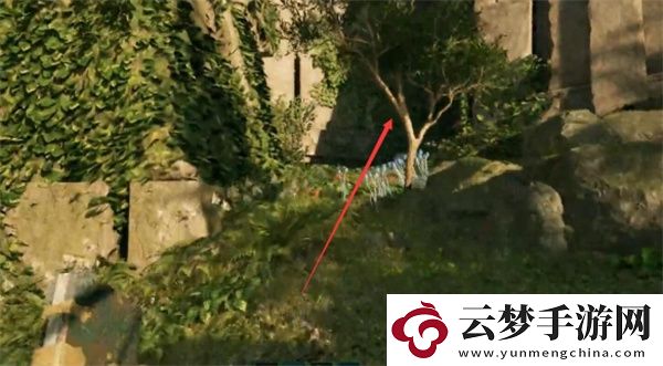 宣誓娥狄卡的遺產藏寶圖獲取方法分享
