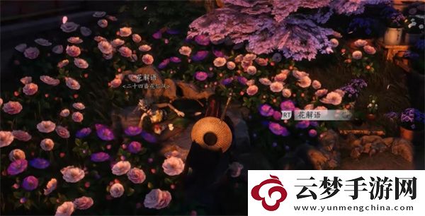 燕云十六聲海棠醉夢任務(wù)完成方法分享