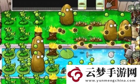 逆水寒手游既往經(jīng)歷怎么寫？探索游戲背后的故事與魅力！