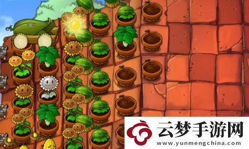 古風市集代幣兌換優(yōu)先級推薦，網友：探索古韻之美，盡在指尖！