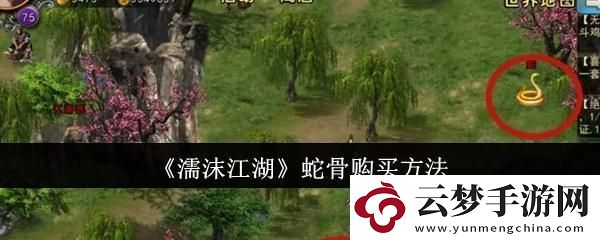 濡沫江湖蛇骨怎么購(gòu)買(mǎi)