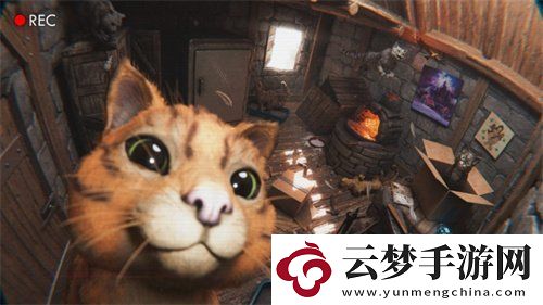 方舟生存飛升可愛新生物“貓”上線